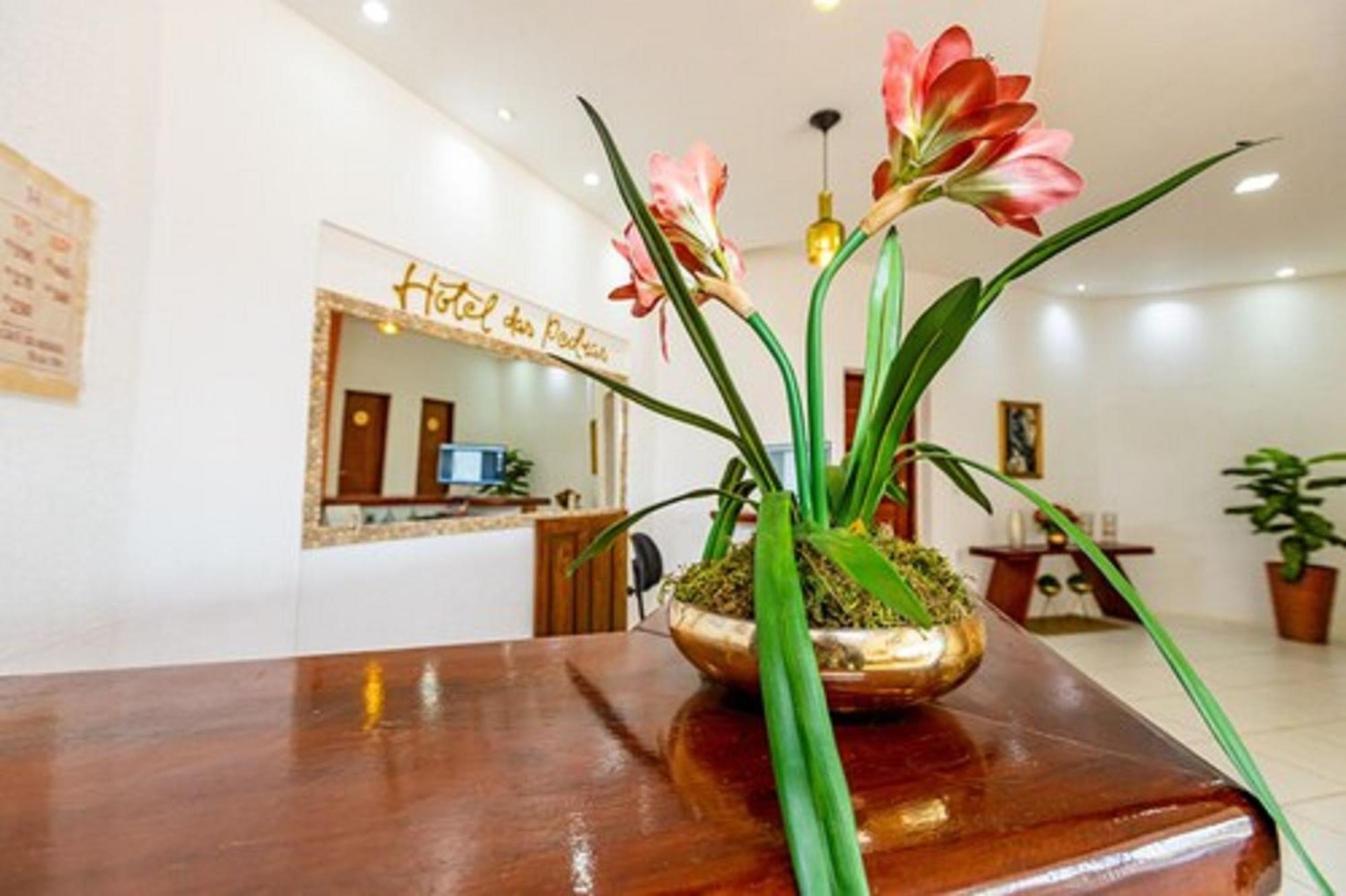 Parnaíba Oyo Hotel Das Pedras מראה חיצוני תמונה